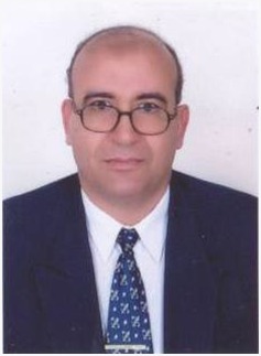 Prof. Mahmoud Ibrahim